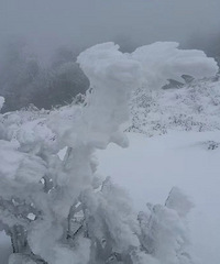 ̨�ݶ����ѩ����Щ�ط��л�ѩ�������������£������ǧ��ע��