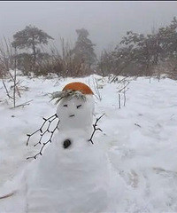 ̨�ݶ����ѩ����Щ�ط��л�ѩ�������������£������ǧ��ע��