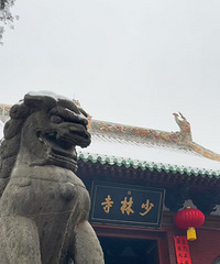 �Ƿ�������