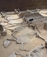 ���Ӽ���