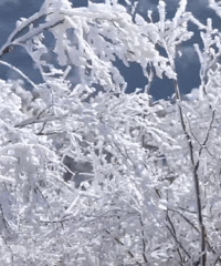 ʯ�����������������ָ����⿪�ţ���ע�⽻ͨ�仯......