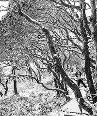 ������3~5���ף��ֲ���ѩ��̨������ѩ��15���ף����ϴ�ת