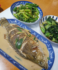 �������ʲô����������