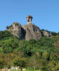 89���������з��г�����ҵ������������89-94��δ��Ů