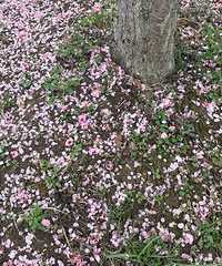 �����ѵ��ĵط��������أ������̵�