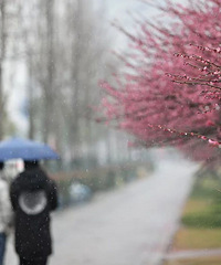 ���ת��ֱ��24�棡������̫�̼���̨���������ץ������