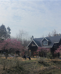 ����������÷��