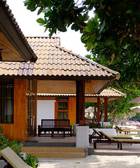 ��2025�μǡ�����������ͷɵ��ȴ��ĵ�����Ӿ