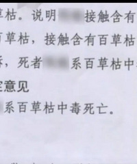 �����������������ж����������������͵��ڿ��йأ�