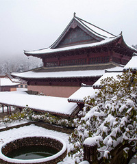 ������ѩ��ǡ�������ѩ��һƬ�������