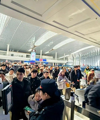 ����̨����2025�괺�˿������¸�