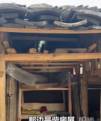 ţ��12���к����ö����������¥