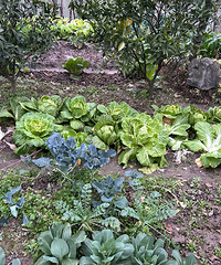 ���챻͵���������ĽҲ���������