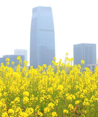 �㽭���ع����봺���������Ҫ�������챩��19��