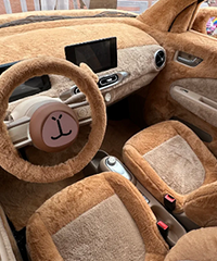 ��Ƥ����Ƥ���ĺ��MINIEV����˭�ܿ���ס��