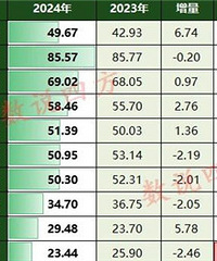 ̨�ݸ�����2024���������