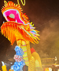 ��Ϫ�ƻ������ǲȹ�����