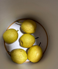 40��������澹Ȼһ�㶼û��