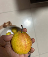 40��������澹Ȼһ�㶼û��