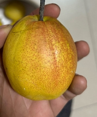 40��������澹һ�㶼û��