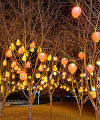 ��Ϫ�ƻ����ֱ�ʽ�򿨣����˾����ƣ�һ·����С��