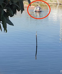 ��Щ�������������������Ƿ��Ի�������