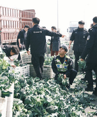 �����෭���ؾ���䡰���˹���