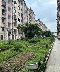 �Ͼ�С�������������1380���Ͼ���ӭ���������