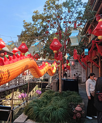 ���¶���̧ͷ����Ϫ�ƻ�