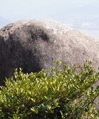 ɽ���澳�������ŵ�