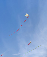 ���¶�����̧ͷ����ͷ�����ݷ���ͷ�Ÿ�