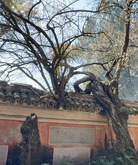 ��÷����Ӷ³�һСʱ