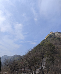 �����������︴�գ�Сſ������ɽ���ŵ�