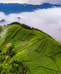 ������Ŀ������أ�������̨���ɾ���ǩԼ