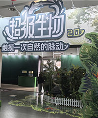 �Ƽ�����Ū�ĳ��������е�����