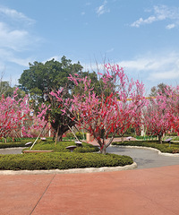 ���޷���һ���Σ����ٸо��е�����