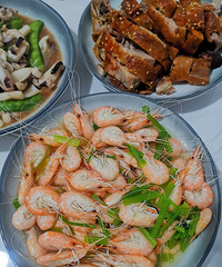 �������ʲô�����Ѱ��¼��ˣ�������������