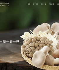 �����Ŵ��ˡ�ĸ��˾���³������ã�������Ůʿ���������ࡱ