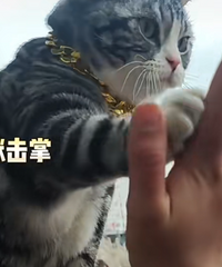 ����һ����ͻȻÿ�켷���ˣ�ֻΪ������һ����������