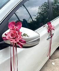 ���ź������鳵����