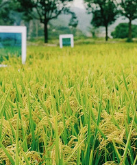 ����16ʱ7�֣�̨�ݽ��롭��