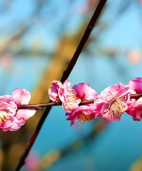 ����16ʱ7�֣�̨�ݽ��롭��