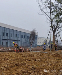 ����+������ϣ�̨�ݴ������д�����