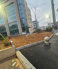 ������ô����