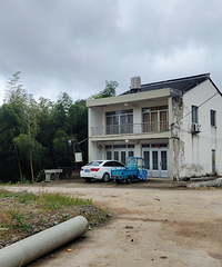 �����߷�ˮ�ڲ�·������ţƺ(�ٻ�)������������������β���