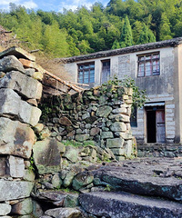 ȥʯţ�ӿ����Ҽ���ͳ����