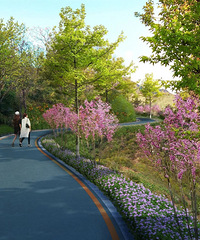 ɽ�䲽������̨�ݺܷ���