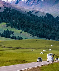 ����10���Լ�·��