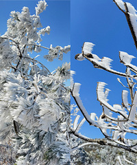 ��̨��������ڡ