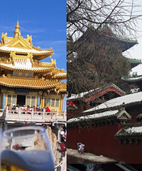 �Ͼ�ɽ��Զ���˼侪���磬һ���˼�ʢ����